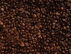 Fairtrade-kaffebønne soyalys